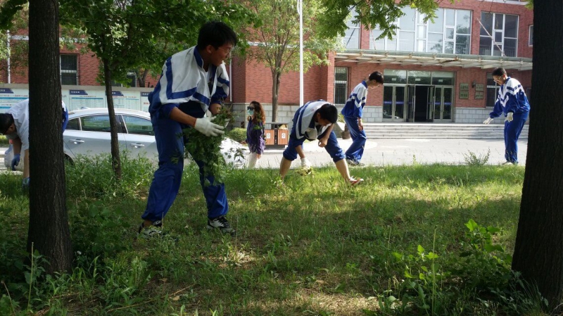 春日除草，美丽校园.jpg